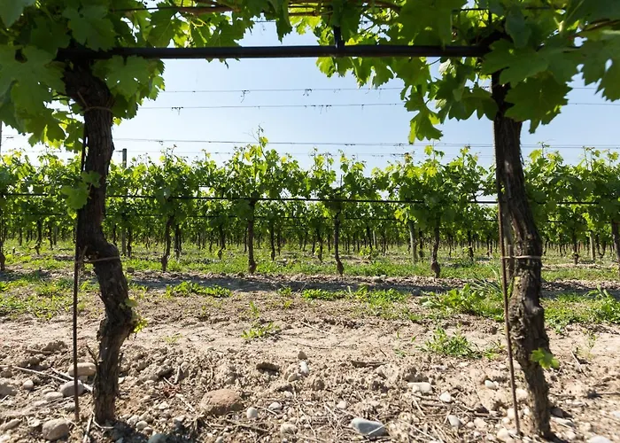 Charme And Relax With Garden And Swimming Pool Дезенцано-дель-Гарда