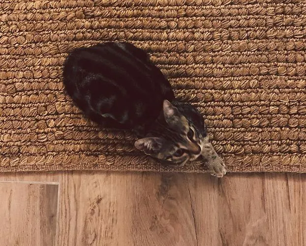 Charme And Relax With Garden And Swimming Pool Апартаменты